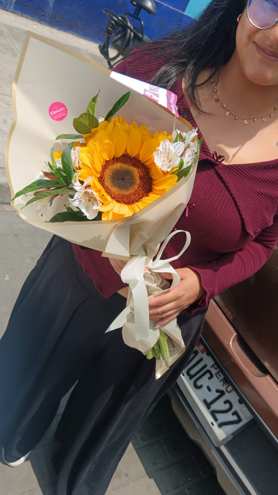 Rayo de Sol - Imagen 2